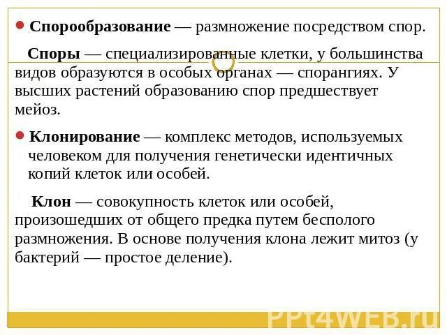 Размножение посредством спор. Споры образуются в специальных органах. Размножение с помощью спор доклад. Споры — специализированные. Спора специализированная клетка