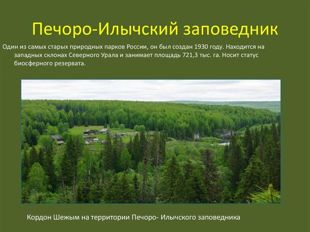 Особенности природных парков. Печоро-Илычский заповедник. Печоро-Илычский заповедник девственные леса. Заповедники и национальные парки Республики Коми. Печоро-Илычский биосферный заповедник Республика Коми.