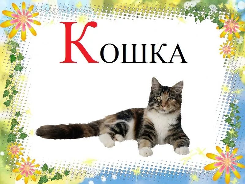 Составляем слова кот. Буква к кот. азбука кошек. слово кошка. буква а картинка.