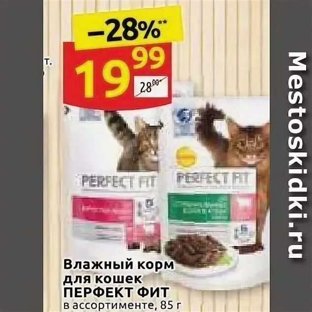 Дикси корм для кошек Перфект фит. Felix для кошек влажный Дикси корм Дикси. Скидки в Дикси на корм для кошек. Дикси корма для кошек. Кошка дикси