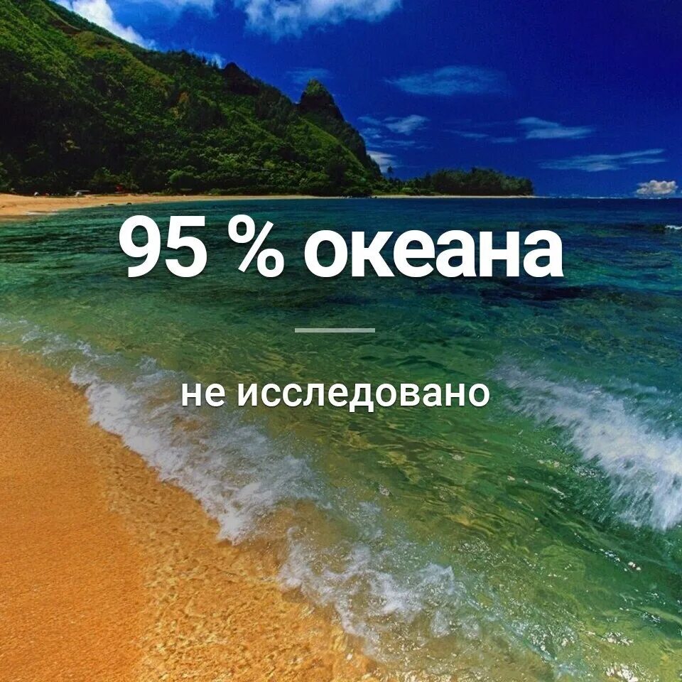 Сколько процентов океана изучено на 2025 год. Краткие факты. интересные факты. 95 процентов океана не исследовано. океан изучен.