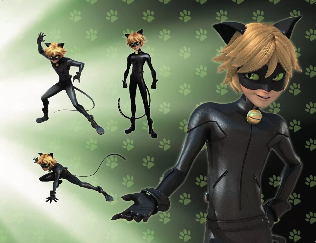 Super cat 4