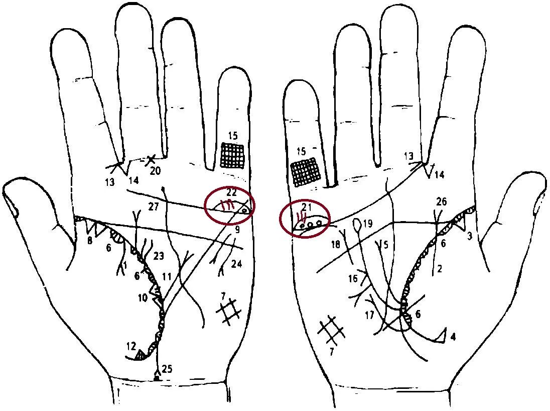 Хиромантия Датировка линии брака. Линия детей на ладони. Хиромантия линия детей. Линии на руке означающие детей.
