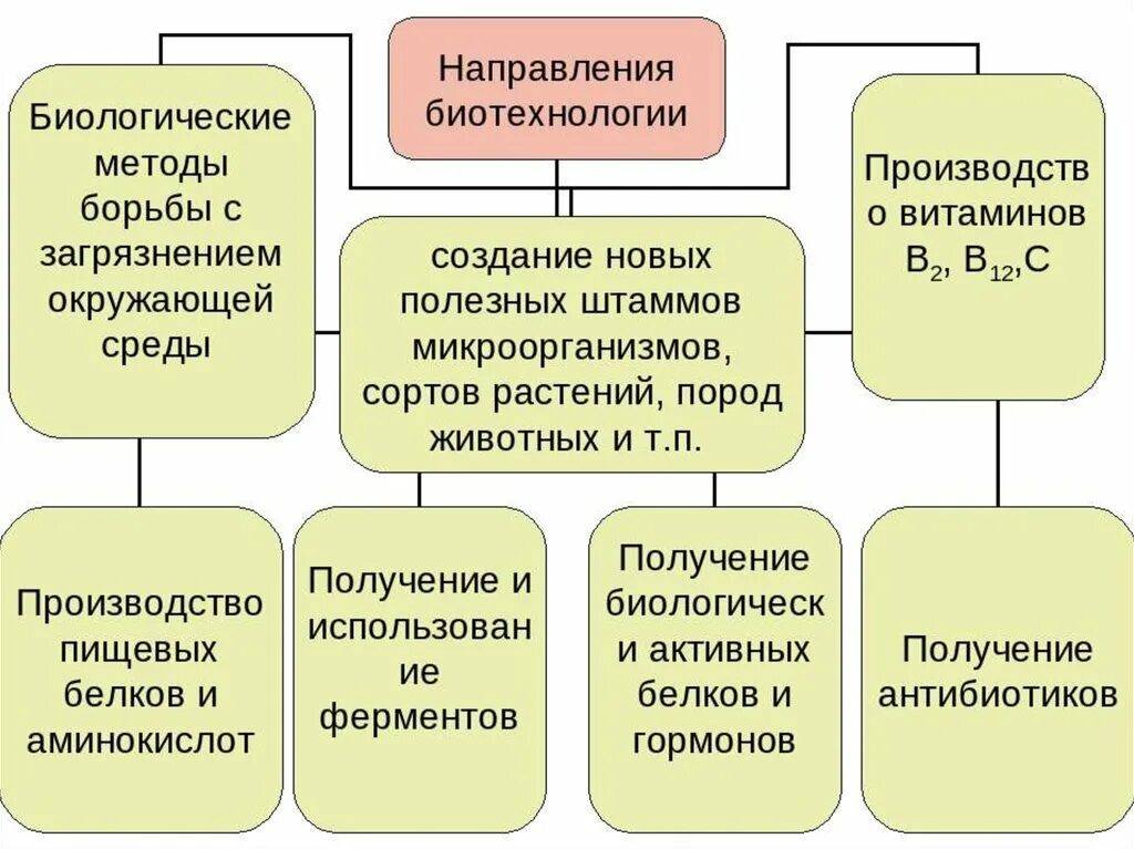 Какие из перечисленных методов используются в биотехнологии. Основные направления и методы биотехнологии. биотехнология и ее основные направления. основные направления современной биотехнологии. биотехнология и ее направления таблица.