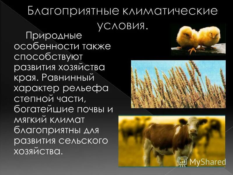 природные ресурсы рельеф. характеристика македонии хозяйство и природные особенности. плоские и холмистые равнины. виды равнин.