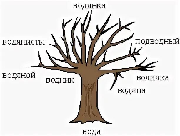 Дерево слов вода