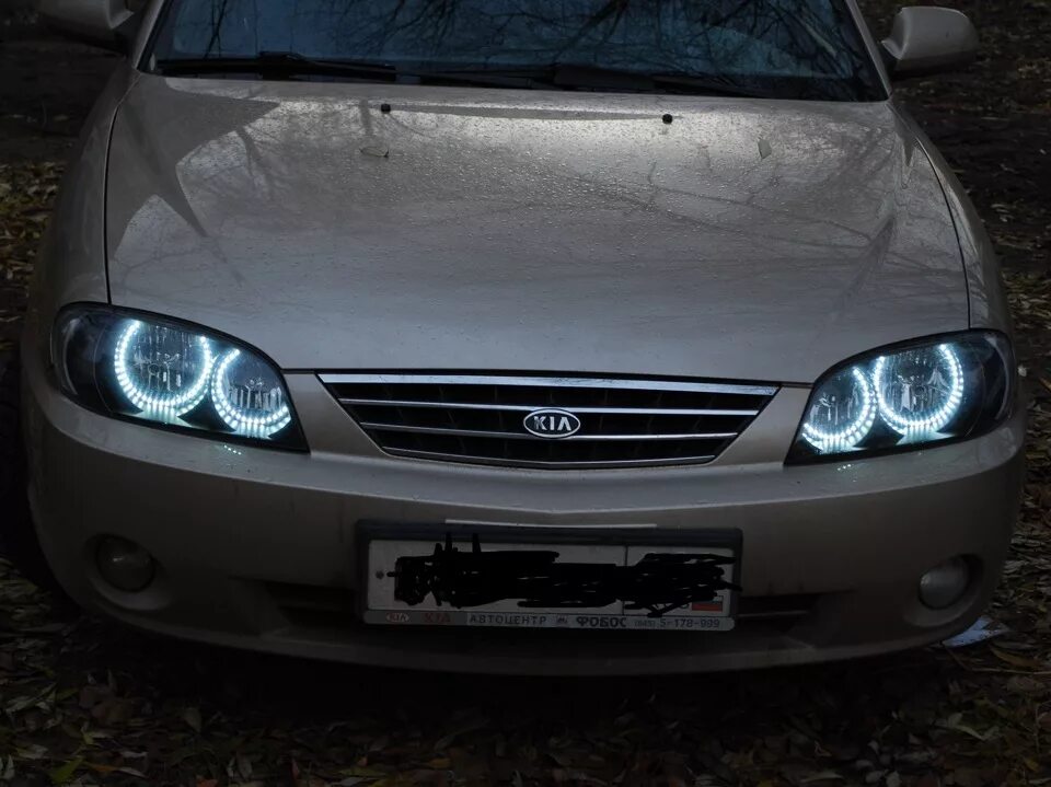 Kia Spectra ангельские глазки. Ангельские глазки Киа спектра 2008. CCFL ангельские глазки Kia Spectra. ПТФ ангельские глазки Kia Spectra. Ангельские глазки киа