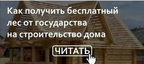 Бесплатная древесина от государства
