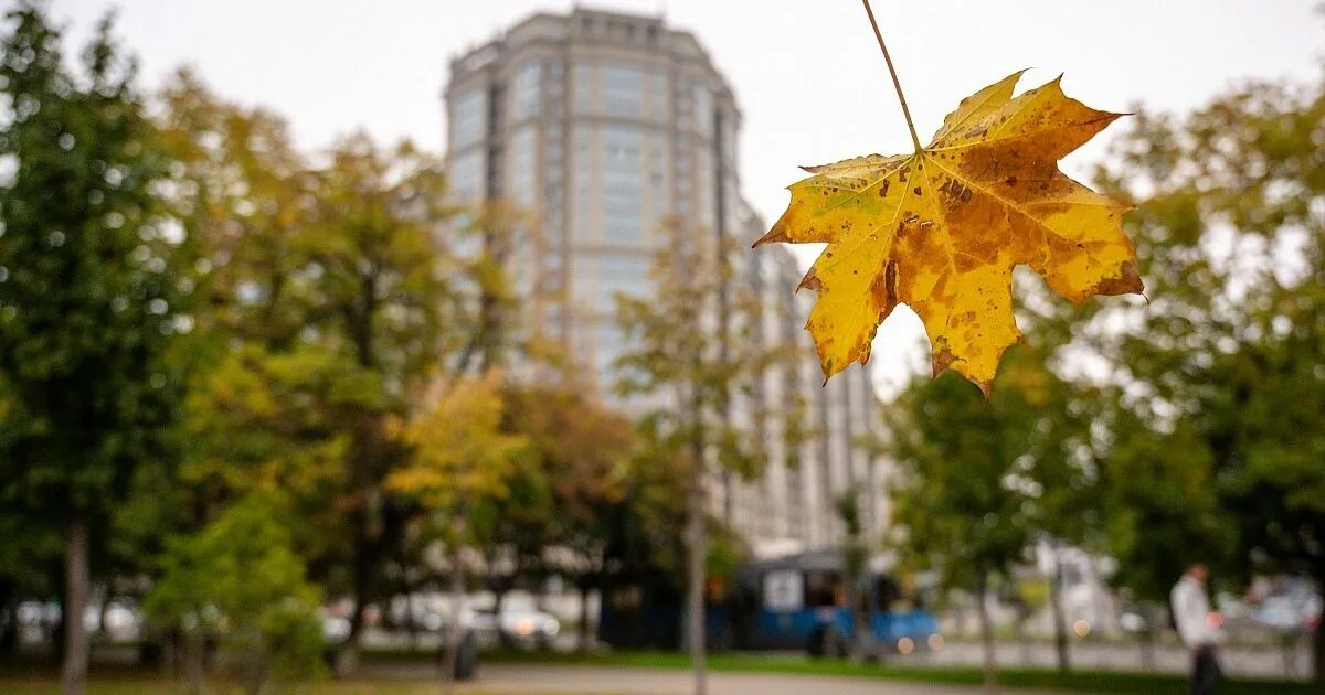 1 октября краснодарский край. 1 октября краснодарский край