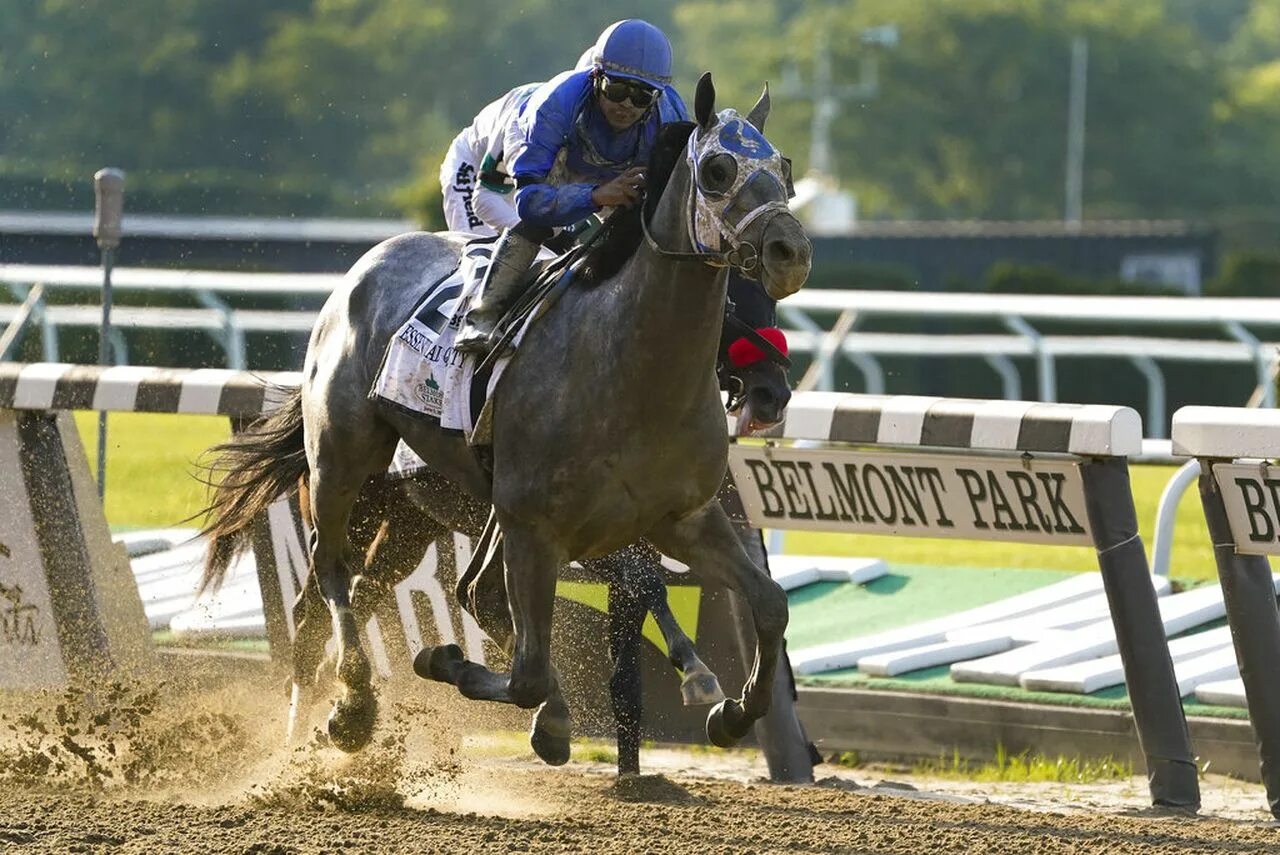 Essential quality. Belmont stakes 1973. скачки белмонт. essential quality horse. essential quality лошадь.