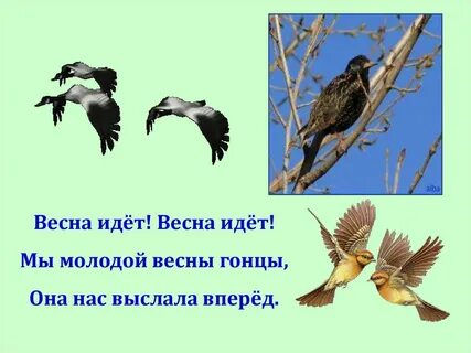 Мы молодой весны гонцы