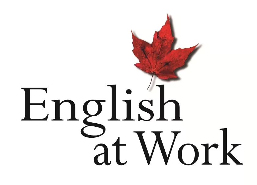 люди из разных стран. комплаенс-контроль это. тест general course. English for work. разница между job и work.