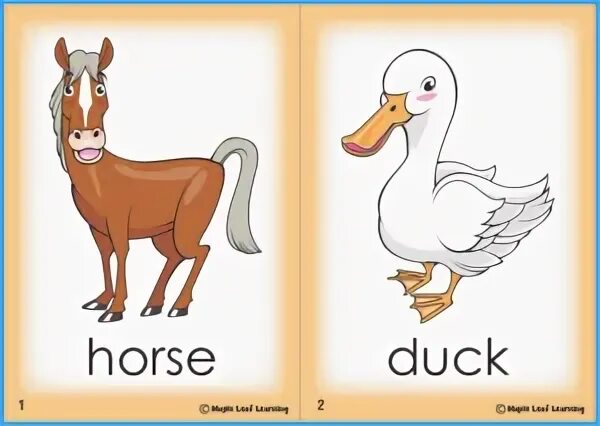 A horse can sing. Farm animals Flashcards Duck. Farm animals Flashcards super simple Songs. Farm animals picture book Maple Leaf Learning.