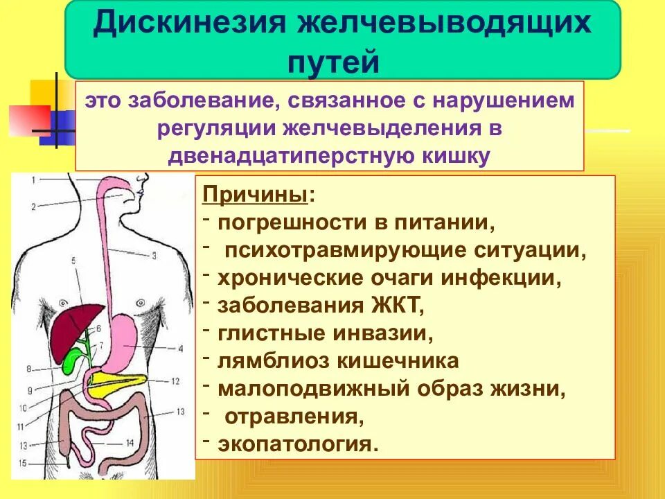 Дискинезия желчевыводящих путей. Дискинезии желчевывод. Путей. Причины дискинезии желчевыводящих путей. Дискинезия желчевыводящих путей симптомы. Причины желудочных заболеваний