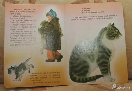 Усатый полосатый читать