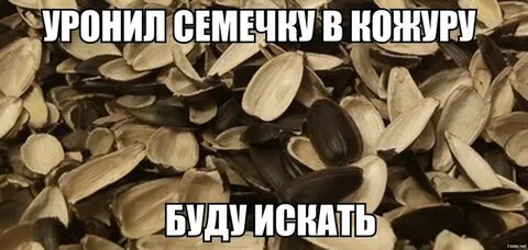 Почему грызем семечки