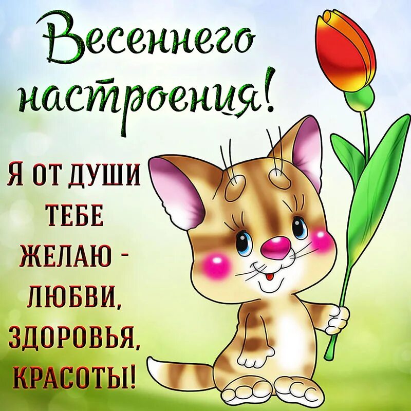 Пожелания хорошего настроения весеннего. Поздравление с весенним настроением. весеннего настроения пожелания. открытки весеннего настроения. открытки с весенним приветиком.
