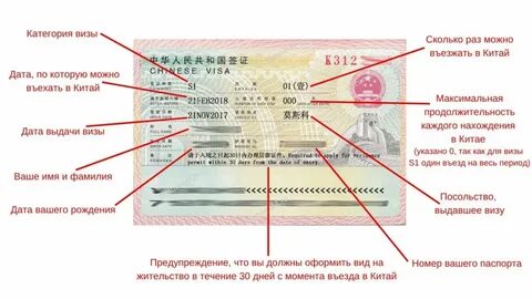 Идентификационный номер визы