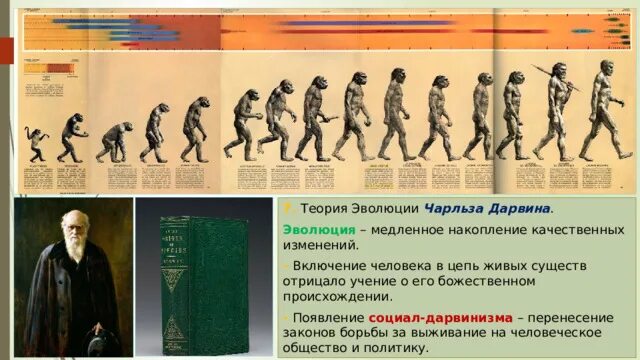 Эволюционная теория происхождения. Эволюционная теория развития человека. Эволюционная теория появления человека. Концепции происхождения человека. Эволюционная теория развития человека.