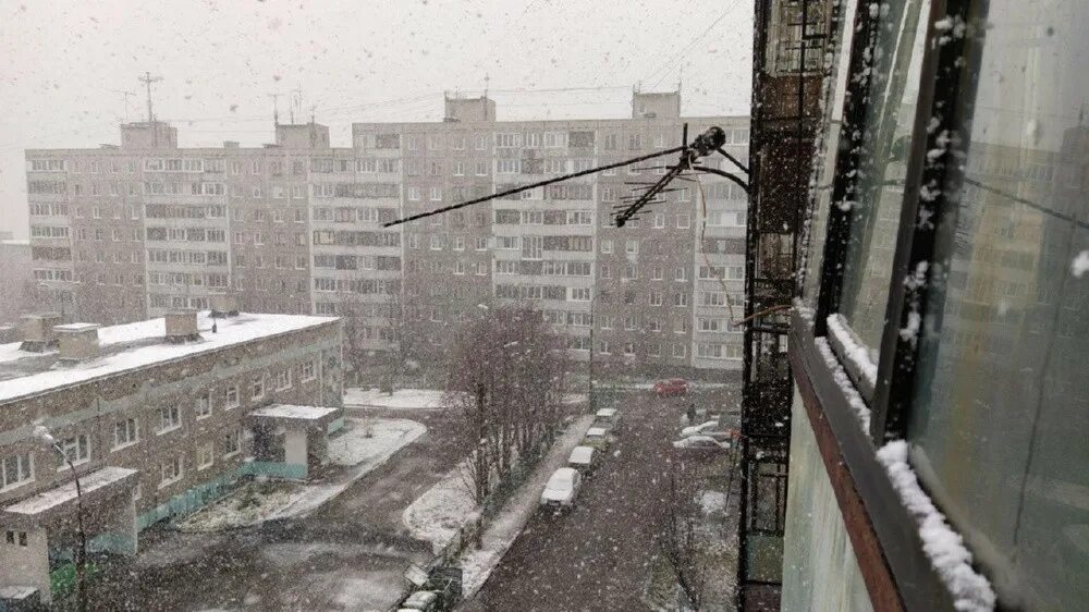 Мурманский гидрометцентр сайт. Мурманский гидрометцентр сайт