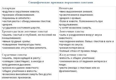 Симптомы гельминтов у человека взрослого
