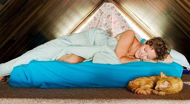 спящая подруга.