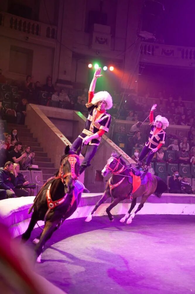 Афиша цирка медведь. Цирк ростов на дону программа. Большой российский цирк гранд шапито. Цирк шапито ростов. Афиша островского цирка.