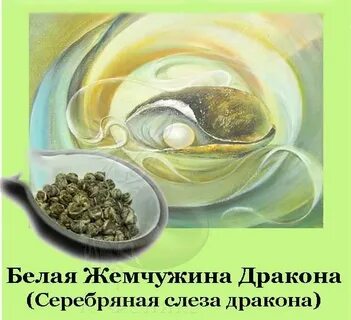 Читать книгу жемчужина дракона