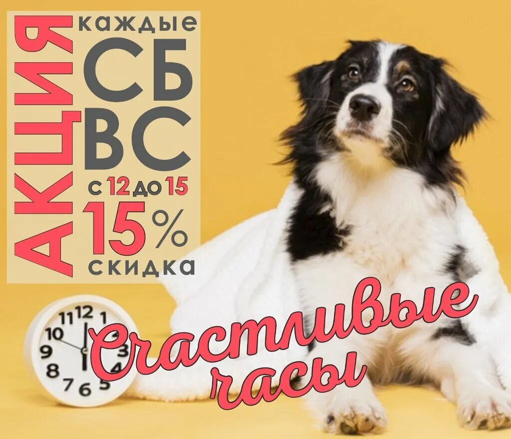 зеленый магазин южно сахалинск. вет планета анапа. ветеринарная клиника витязево. ветеринарная клиника витязево. анапа ветеринарный центр.