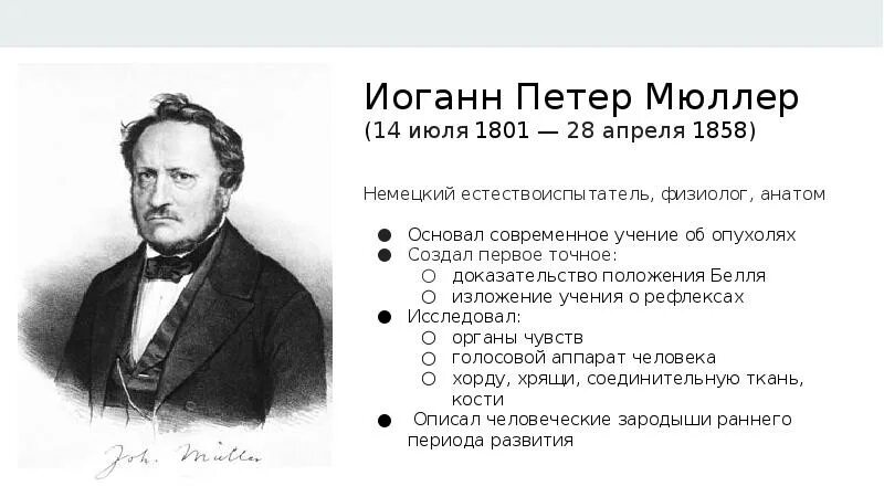 Иоганнес Петер Мюллер. Иоганн Мюллер физиолог. Иоганн Петер Франк вклад в медицину. Мюллер Иоганн Петер вопросы.