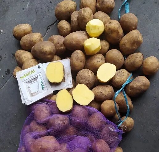 Семенной картофель в новгороде. Продается картофель объявление. картофель объявление.