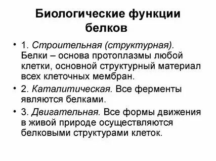 Основные функции биологической системы