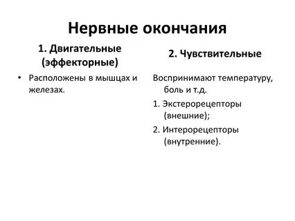 Виды нервных окончаний