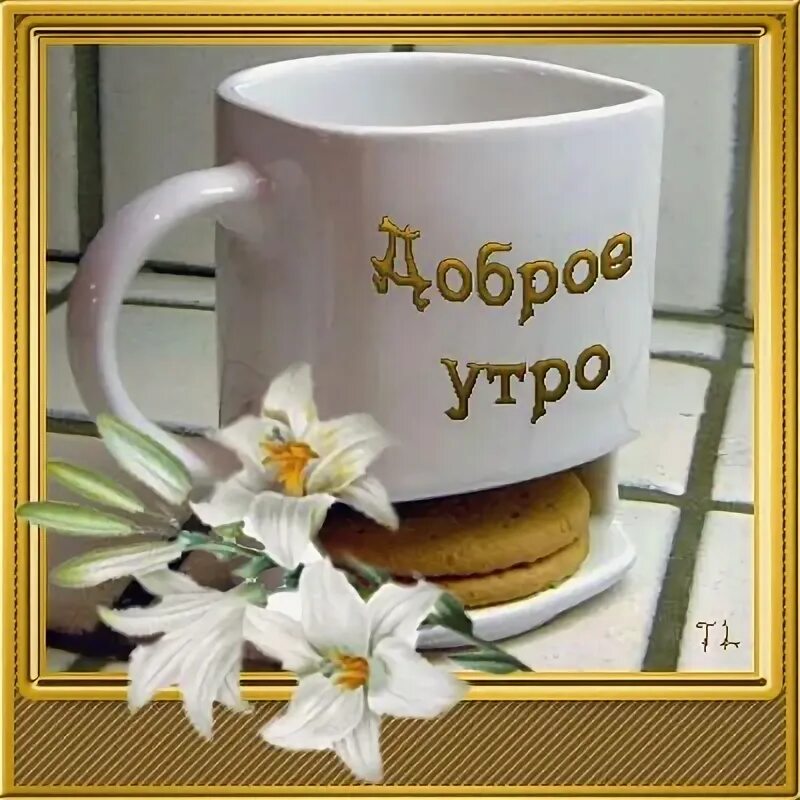 Доброе утро апрель среда. С добрым утром среды. открытки с добрым утром среды красивые. открытки со средой. открытки с цветами с добрым утром среда.