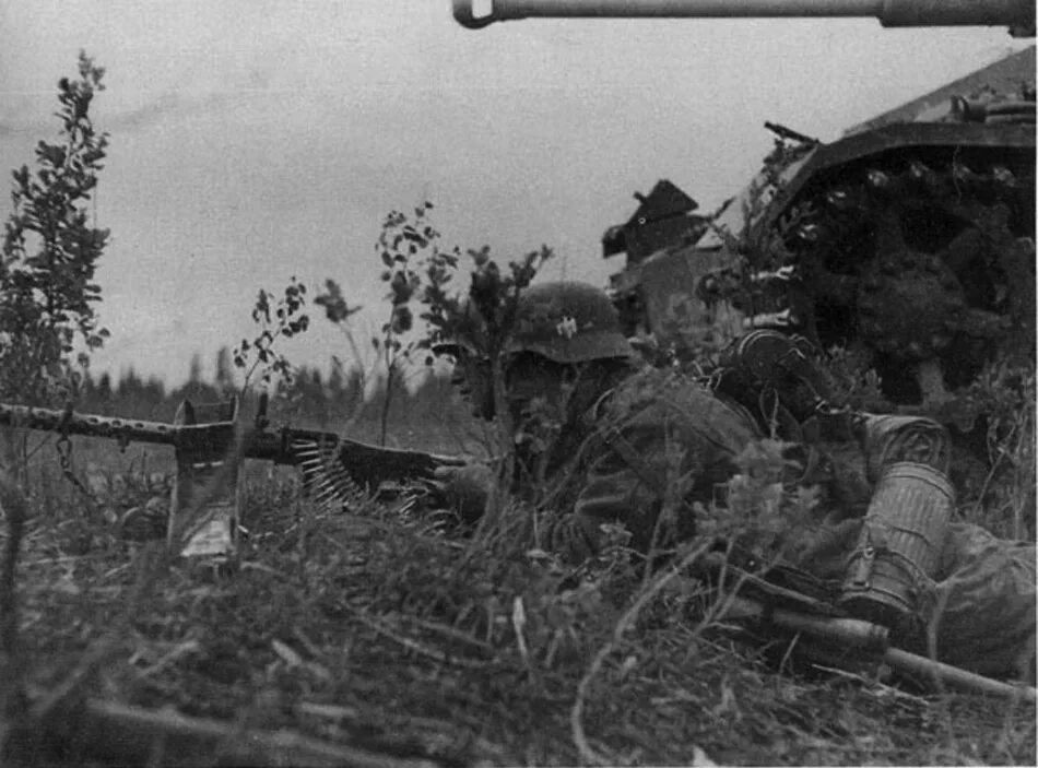 долина смерти волховский фронт 1942 г. волховский фронт 1942 ркка. 2 ударная армия мясной бор. немцы волховский фронт. волховская битва документы ужаса.