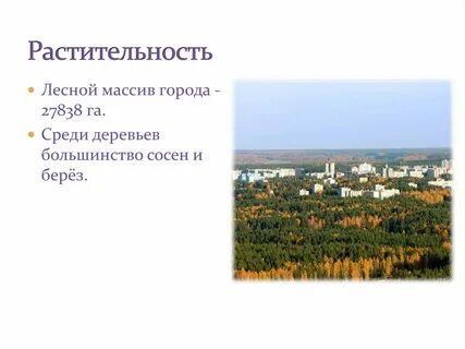 Снежинск 1