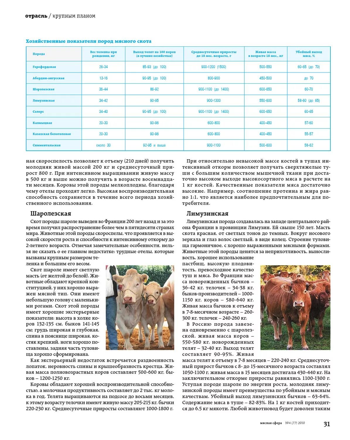 Живой вес теленка. Вес коровы. Мясная продуктивность породы Шароле. Живая масса телят мясных пород. Породы КРС мясной продуктивности и их показатели.