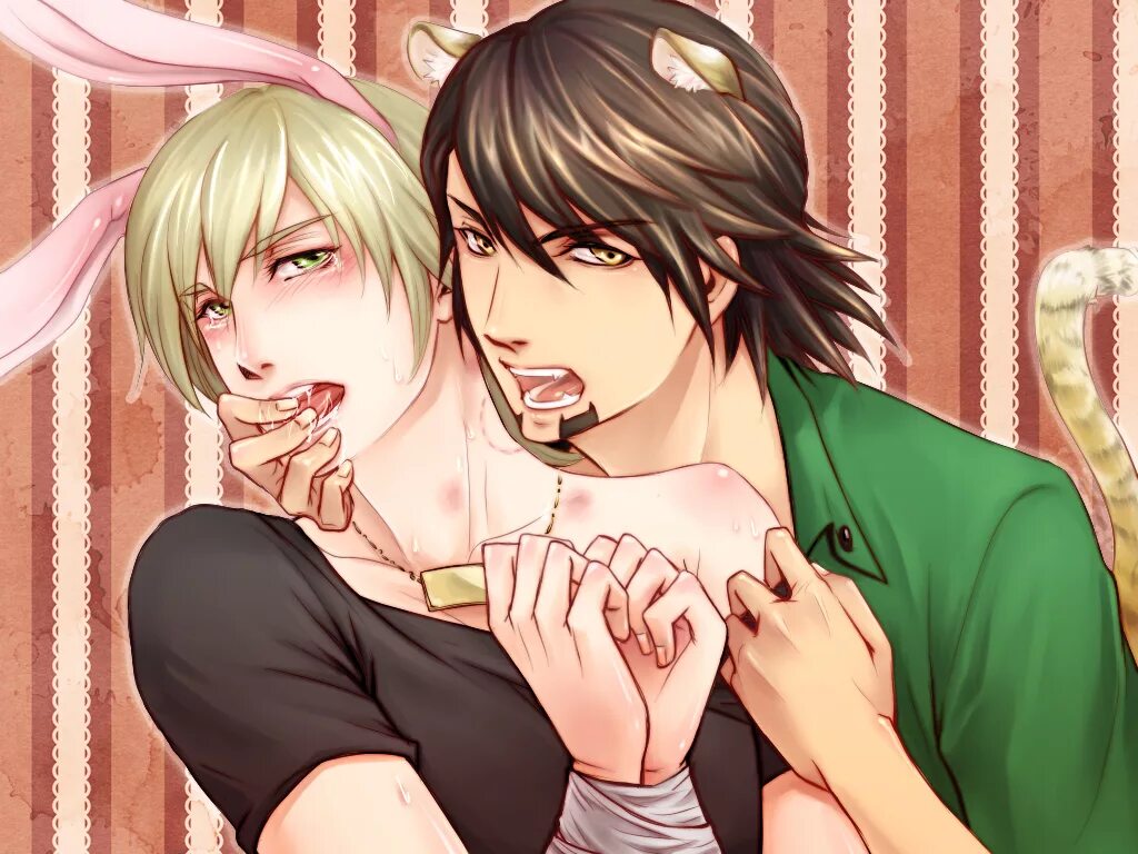 Яой хх. Tiger and bunny yaoi. тигр и кролик яой. аниме тигр и кролик яой. пейринг: барнаби х котетсу.