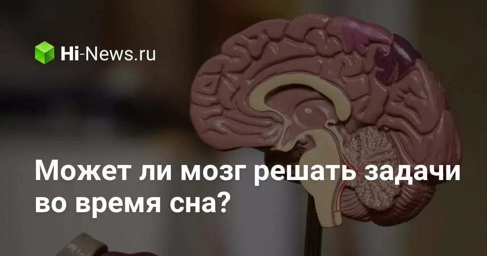 Brain задачи. Мозг решает задачи. Мозг решает проблемы. Мозг во время решения задачи.