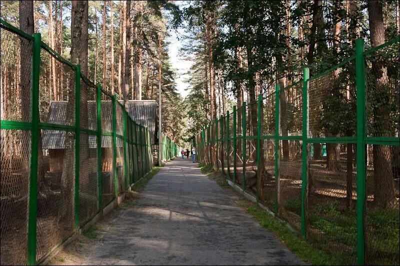 Поселок жудерский орловская область. Зоовольерный комплекс Орловское Полесье. Орловское Полесье зоопарк. Полесье палисадник Орловское Полесье.