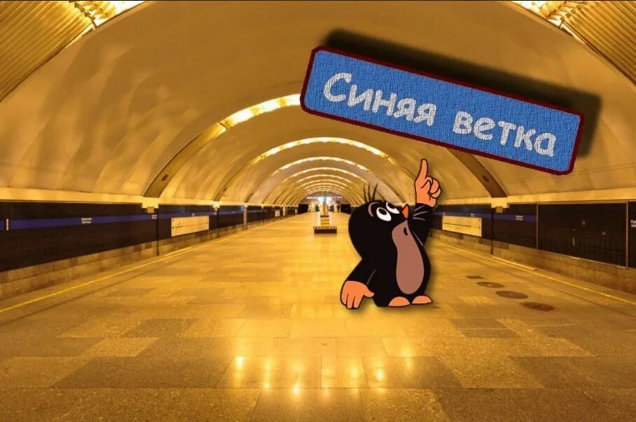 Фиолетовый поезд метро. Метро спб животные. Переноска для собак в метро. Собака поводырь для слепых. Собаки в московском метро.