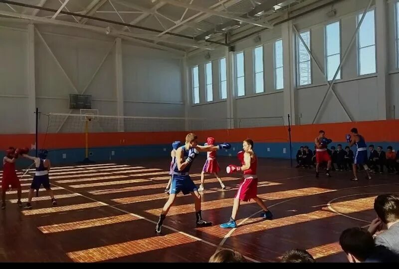 школа бокса. школа по боксу рузаевка. секции в школе. пеледуй физкультура соревнования бокс. бокс рузаевка.