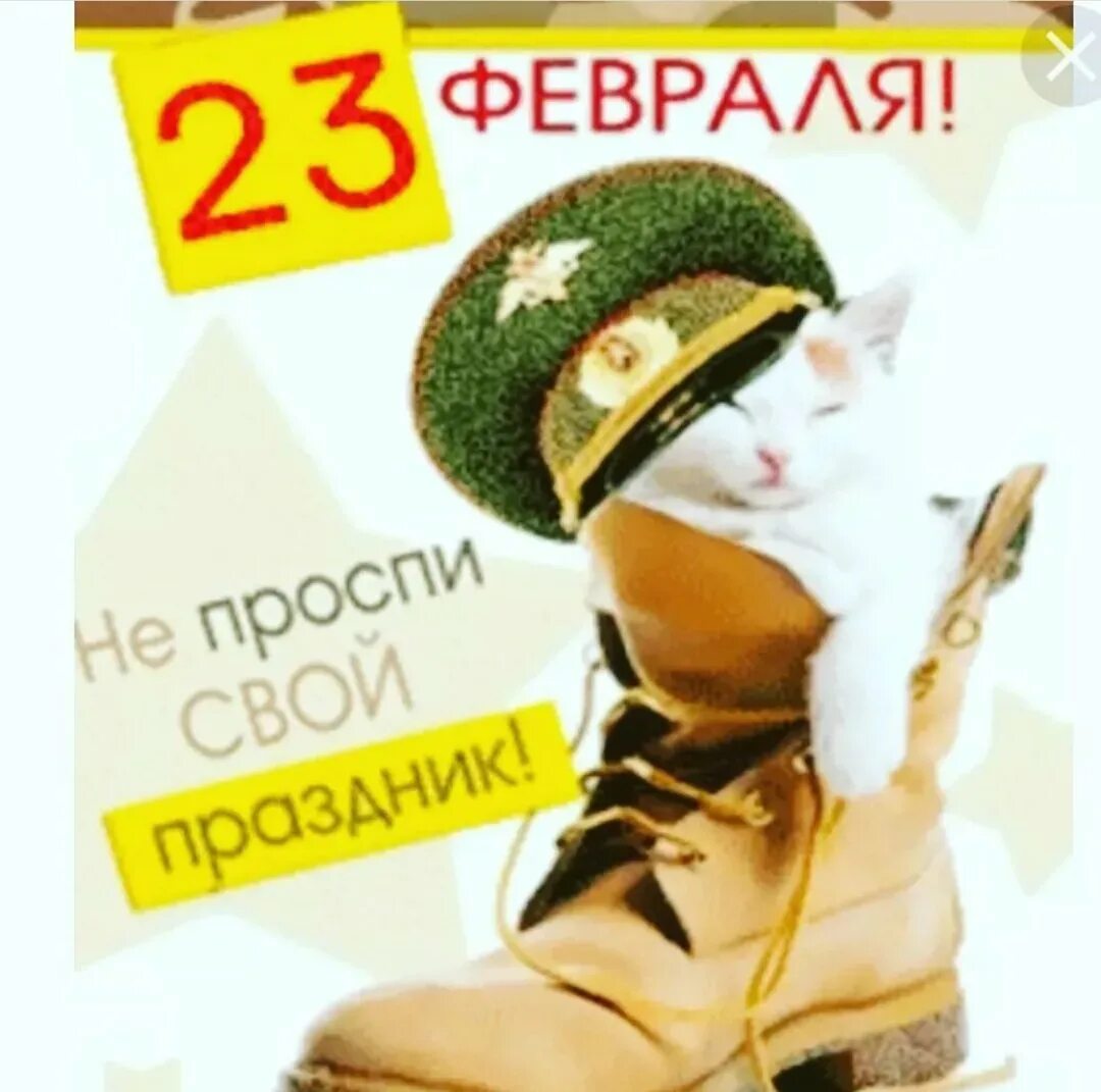 23 февраля 2024 доброе утро. С 23 февраля. Поздравление с 23 февраля. Открытка 23 февраля. С 23 февраля Веселые.