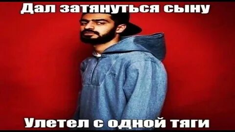 Сын мияги мем кот