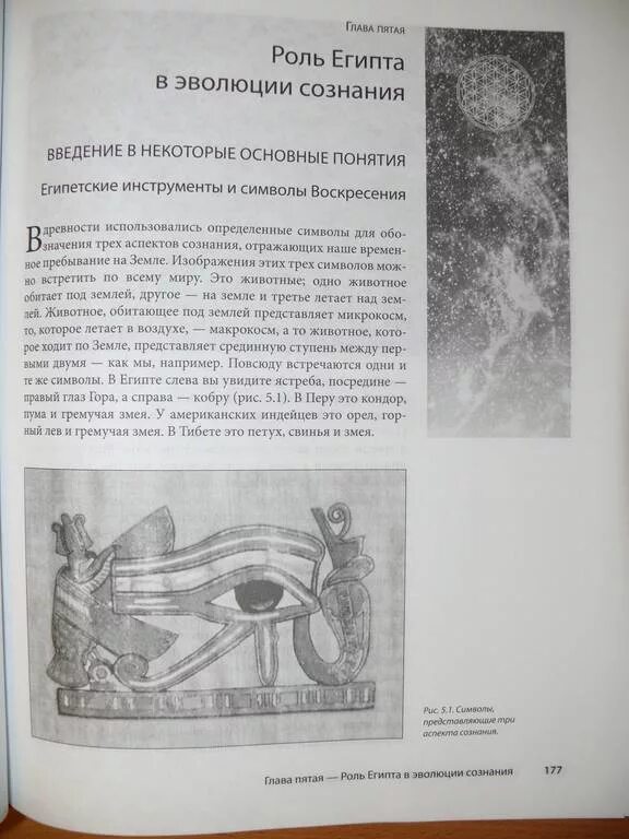 Книга тайны цветка жизни. Древняя тайна цветка Друнвало Мельхиседек. Иллюстрации к книге древняя тайна цветка жизни. Древняя тайна цветка жизни книга. Древняя тайна цветка жизни левый глаз гора.