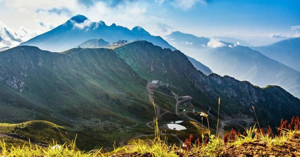 весна подснежники первоцветы. пики весны. альпийские луга швейцария весной. рододендрон кавказский красная поляна. красная поляна сочи горы рододендрон.