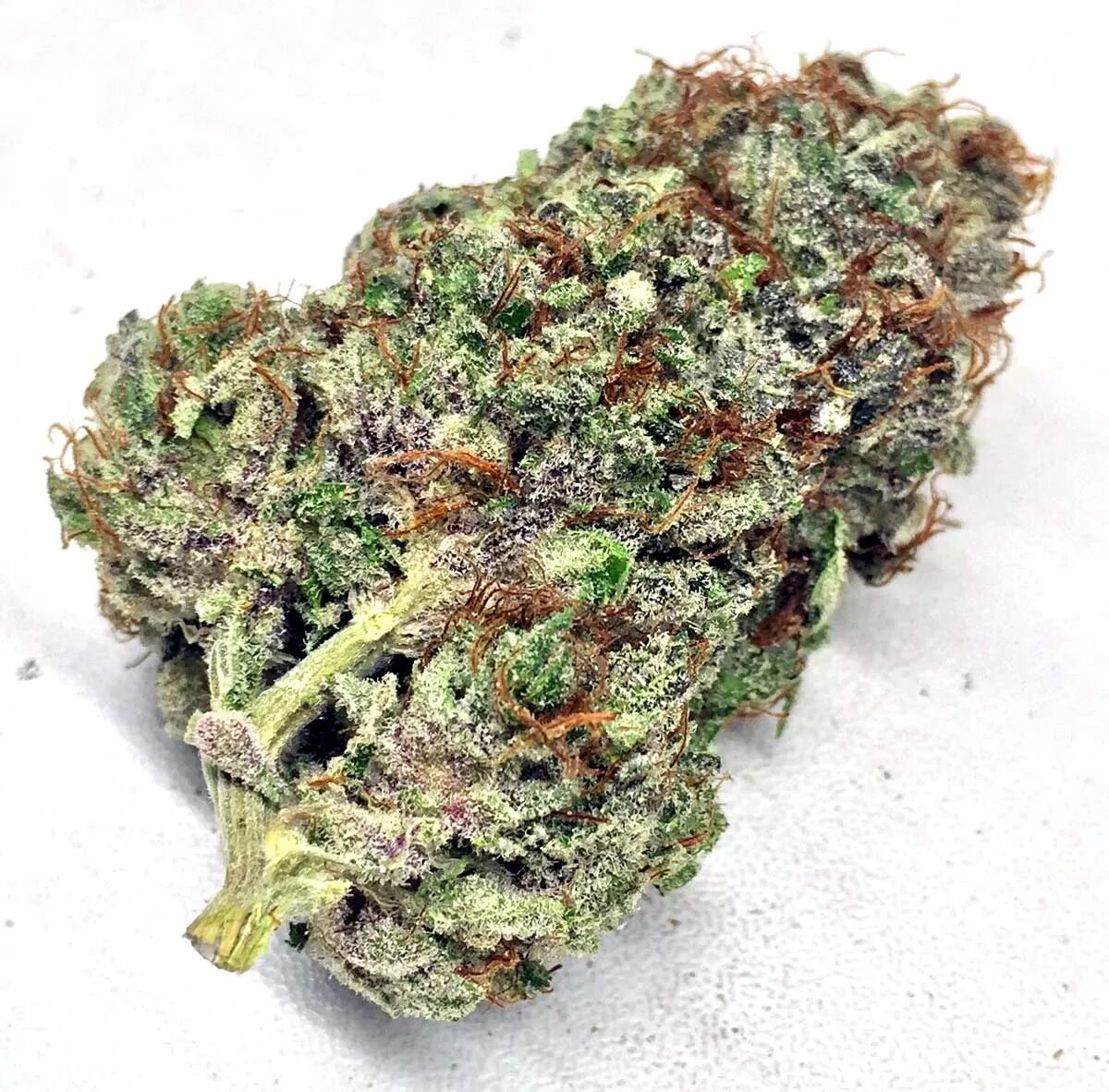 Конопля поника. Бошки канабис. Марихуана бошки. Шишки бошки гашиш. Как выглядит башка.