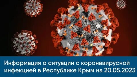 Инфекция сентябрь 2024