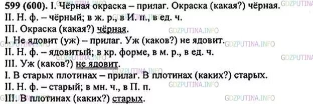Русский язык 5 класс ладыженская упр 165. Гдз по русскому 5 класс номер 599. гдз по русскому языку 5 класс ладыженская. русский язык 5 класс ладыженская гдз морфологический разбор.