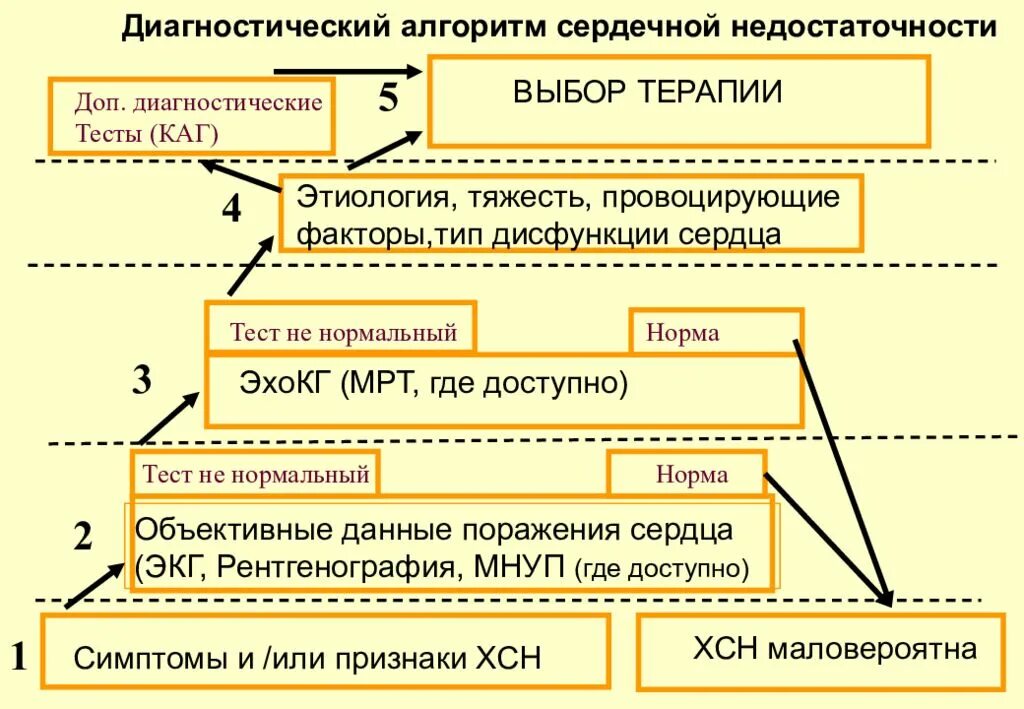 Диагностический алгоритм сердечной недостаточности. Алгоритм хронической сердечной недостаточности. Диагностический алгоритм ХСН. Диагностический алгоритм при ХСН. Алгоритм сердечной недостаточности